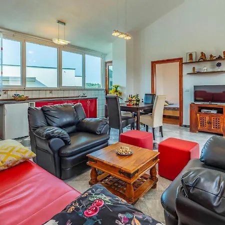 Apartment Pet Friendly In With Kitchen