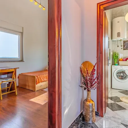 Daire Pet Friendly In With Kitchen Medulin