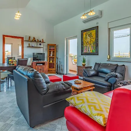 Apartment Pet Friendly In With Kitchen