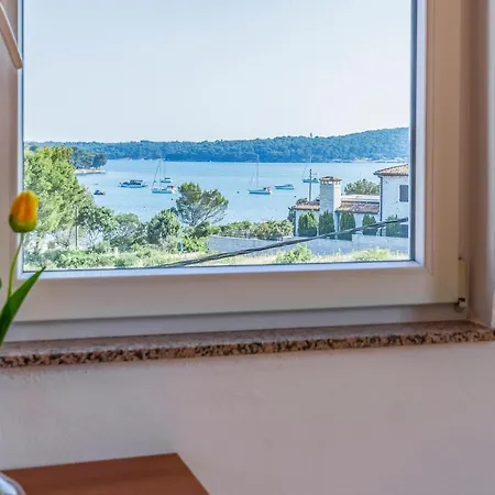 Apartment Pet Friendly In With Kitchen *