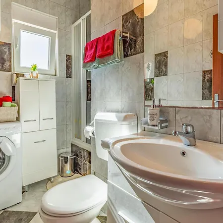 Apartment Pet Friendly In With Kitchen Medulin