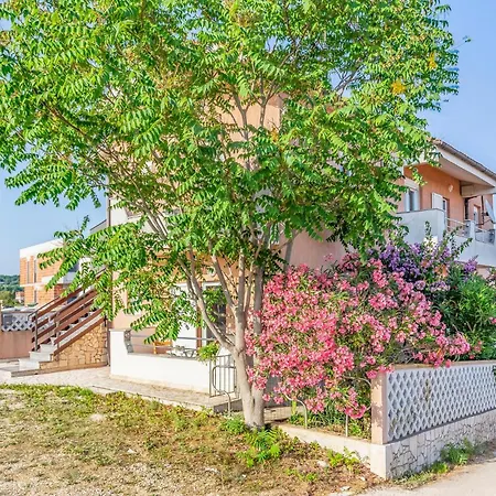 Apartment Pet Friendly In With Kitchen Medulin